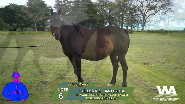 Lote FULLERA Z