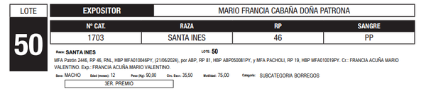 Lote LOTE 50