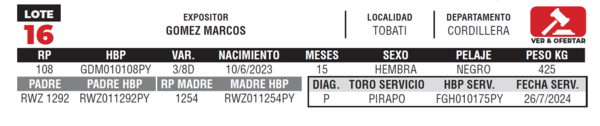 Lote LOTE 16- JUNIOR