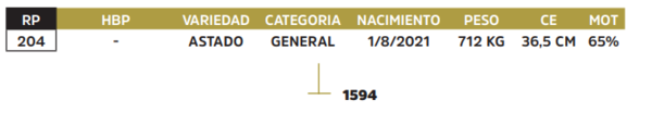 Lote LOTE 22