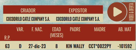 Lote LOTE 14- TERNERAS DE CORRAL