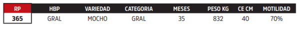 Lote LOTE 23