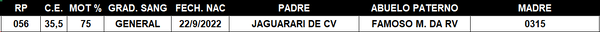 Lote LOTE 53