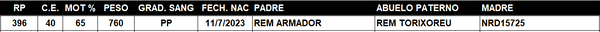 Lote LOTE 10