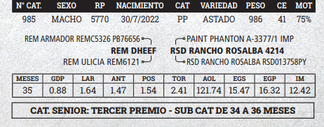 Lote LOTE 5 - BOZAL