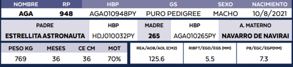 Lote LOTE 61