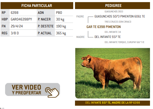 Lote LOTE 8