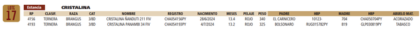 Lote LOTE 17