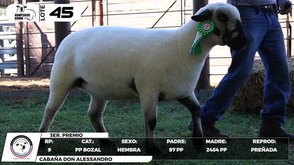 Lote LOTE 45- BOZAL