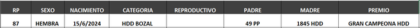 Lote LOTE 50- BOZAL
