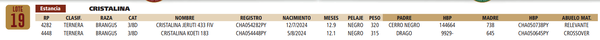 Lote LOTE 19