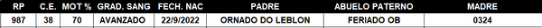 Lote LOTE 45