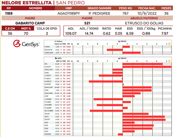 Lote LOTE 6