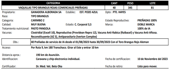 Lote LOTE 81