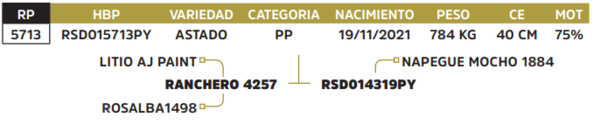 Lote LOTE 79