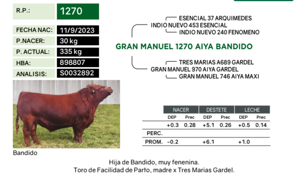 Lote Terneras PP