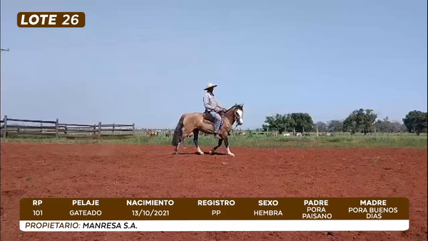 Lote LOTE 26- CAMPO