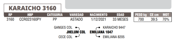 Lote LOTE 12