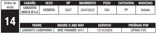 Lote LOTE 14