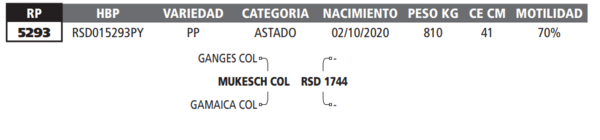 Lote LOTE 12