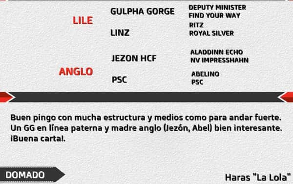 Lote LL REFORZADO