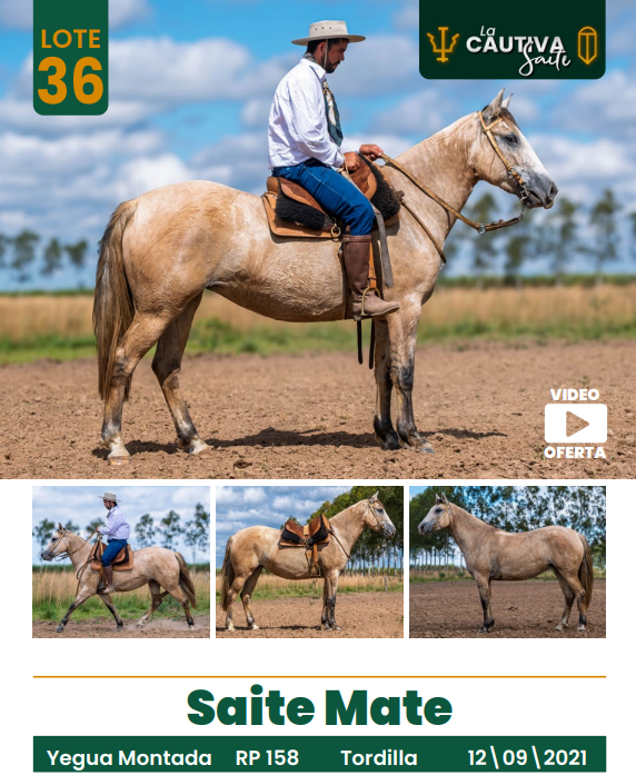 Lote LOTE 36