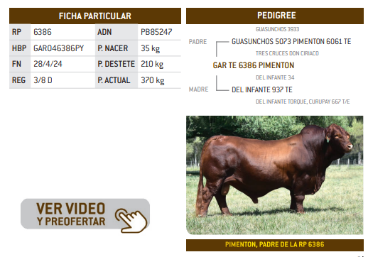 Lote LOTE 5