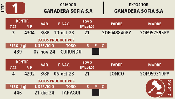 Lote LOTE 1