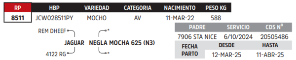 Lote LOTE 42