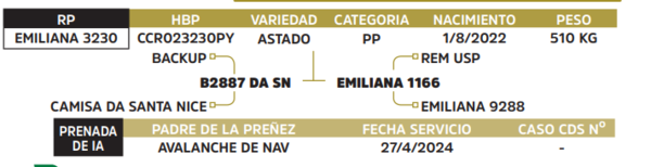 Lote LOTE 63