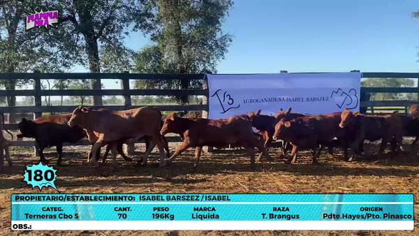 Lote LOTE 180