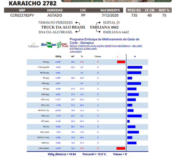 Lote LOTE 2