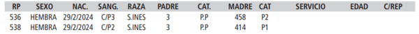 Lote LOTE 26