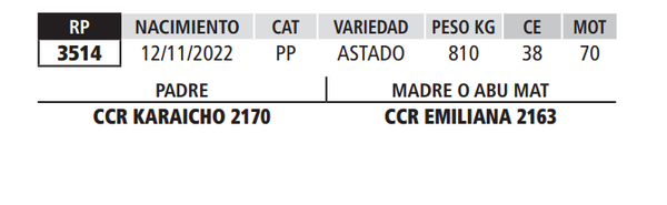 Lote LOTE 32