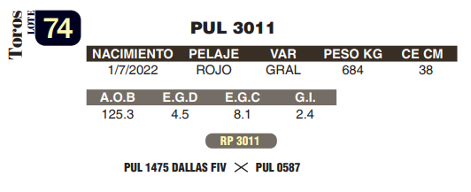 Lote LOTE 74