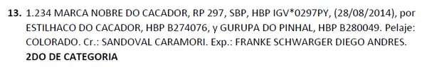 Lote LOTE 13