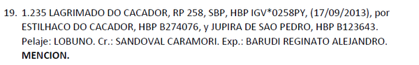 Lote LOTE 19
