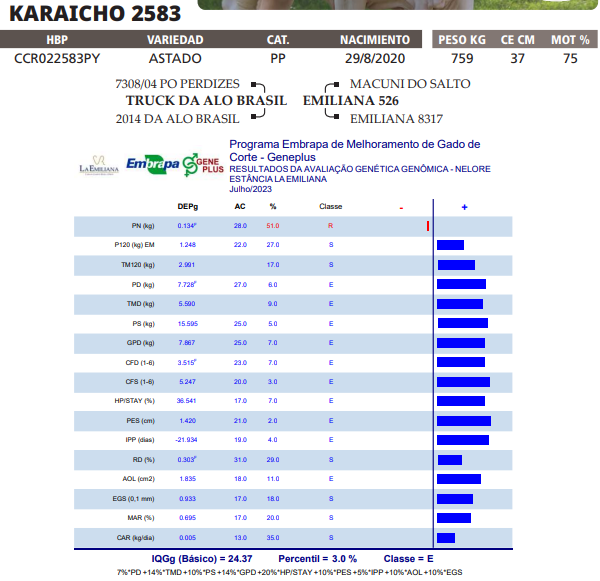 Lote LOTE 6