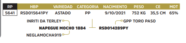 Lote LOTE 12