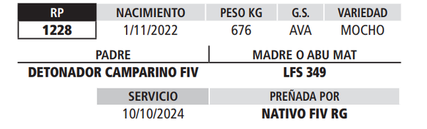 Lote LOTE 28