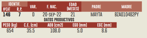 Lote LOTE 8