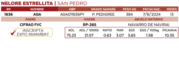 Lote LOTE 44
