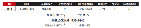 Lote LOTE 26