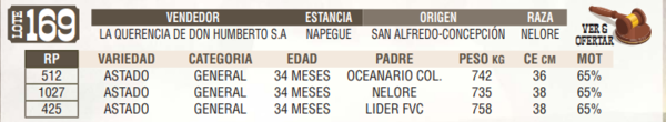 Lote LOTE 169 - EN VIVO
