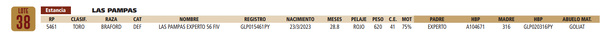 Lote LOTE 38