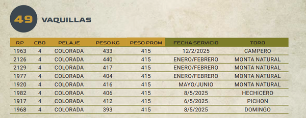 Lote LOTE 49
