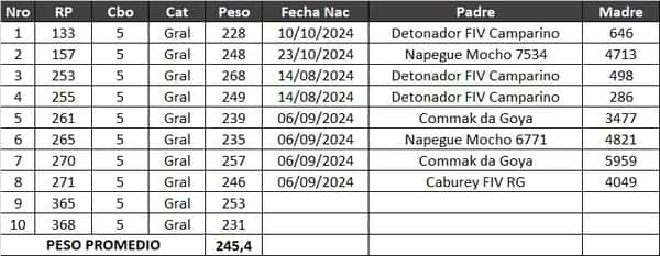 Lote LOTE 17- POR PANTALLA