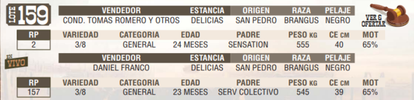Lote LOTE 159 - EN VIVO