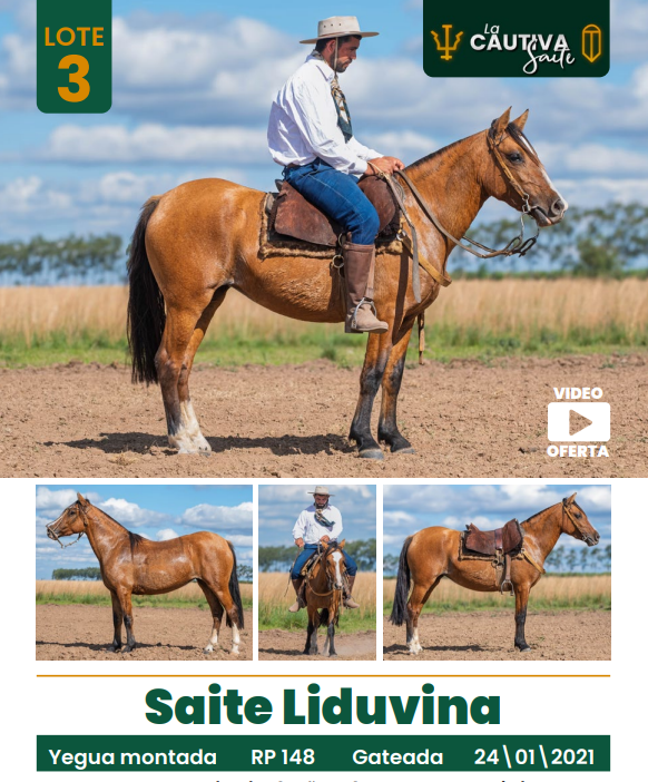 Lote LOTE 3