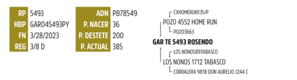 Lote LOTE 9